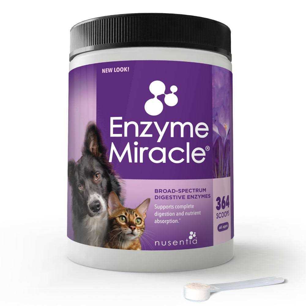 Enzyme Miracle Digestive