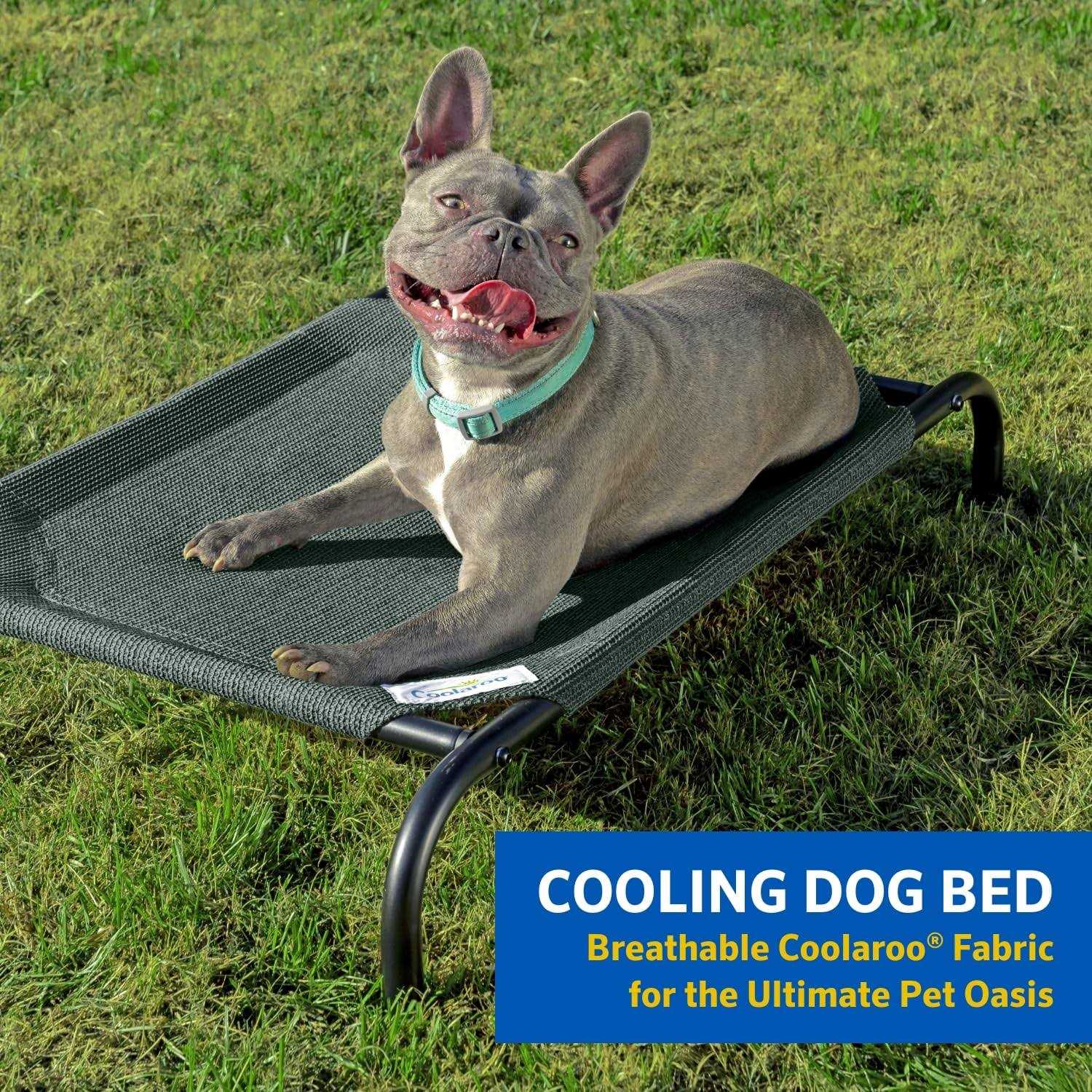 Coolaroo The Original Elevated Pet Bed