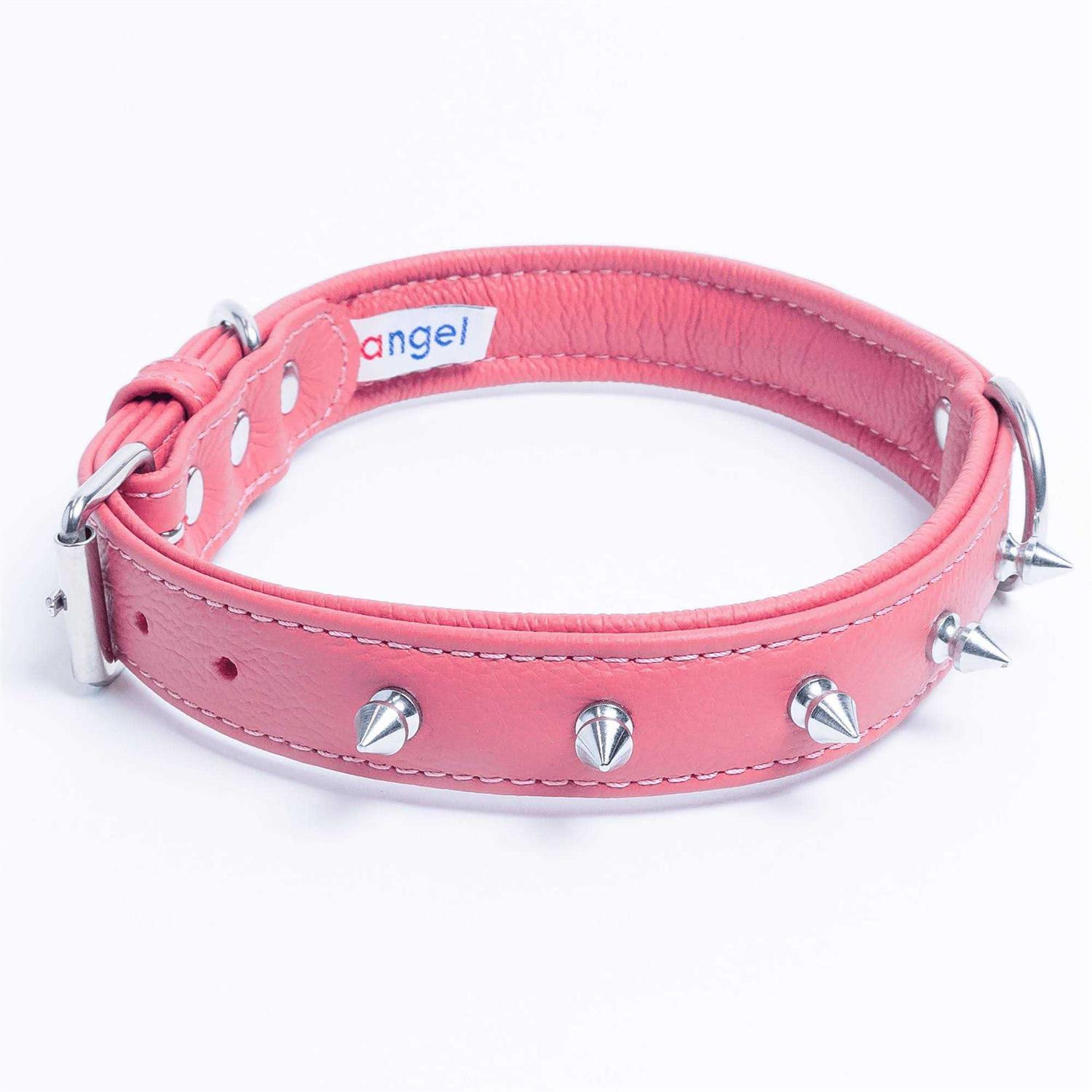Rotterdam Dog Collar Spiked