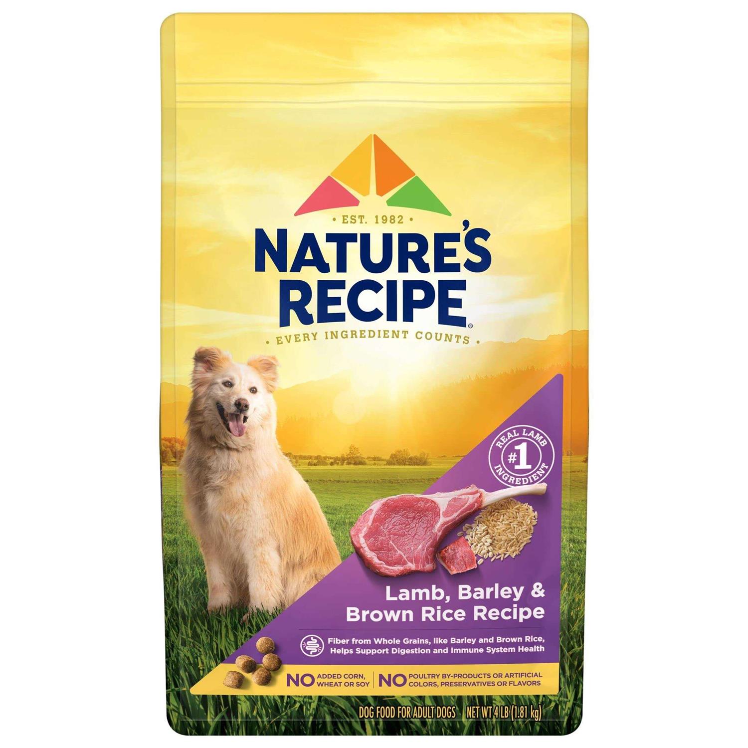 Nature’s Recipe Adult Dry Dog Food