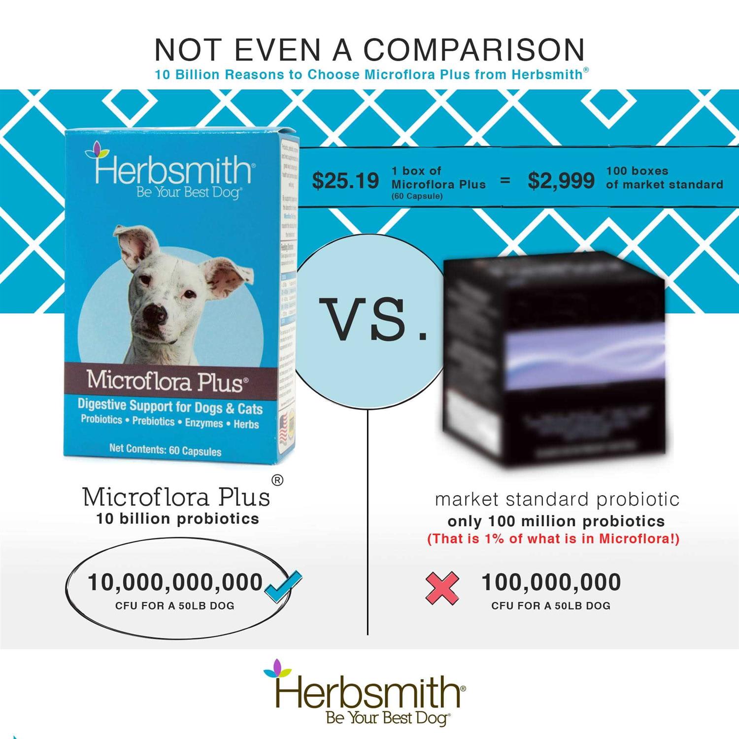 Herbsmith Microflora Plus for Digestion