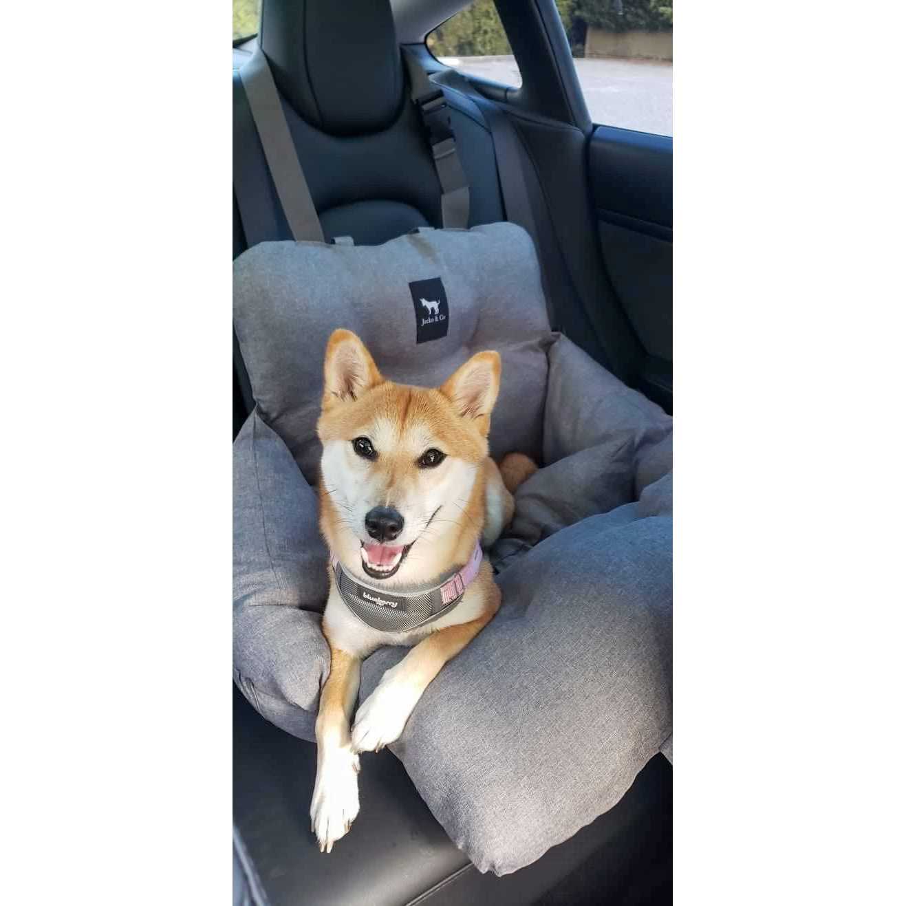 JACKO & CO Premium Dog Car Seat & Booster Seat for Small & Medium Pets Under 35lbs