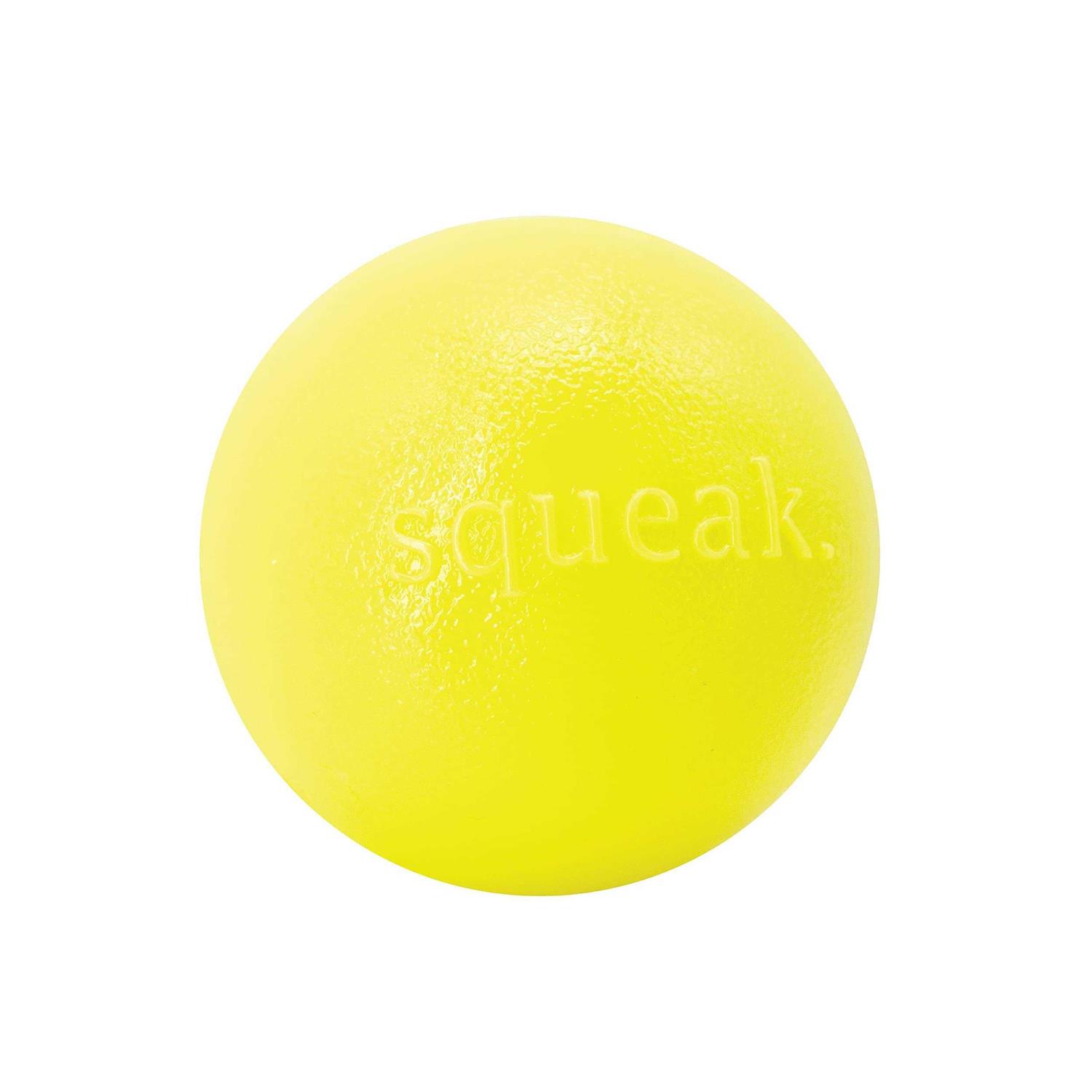 Planet Dog Orbee-Tuff Squeak Toy Ball