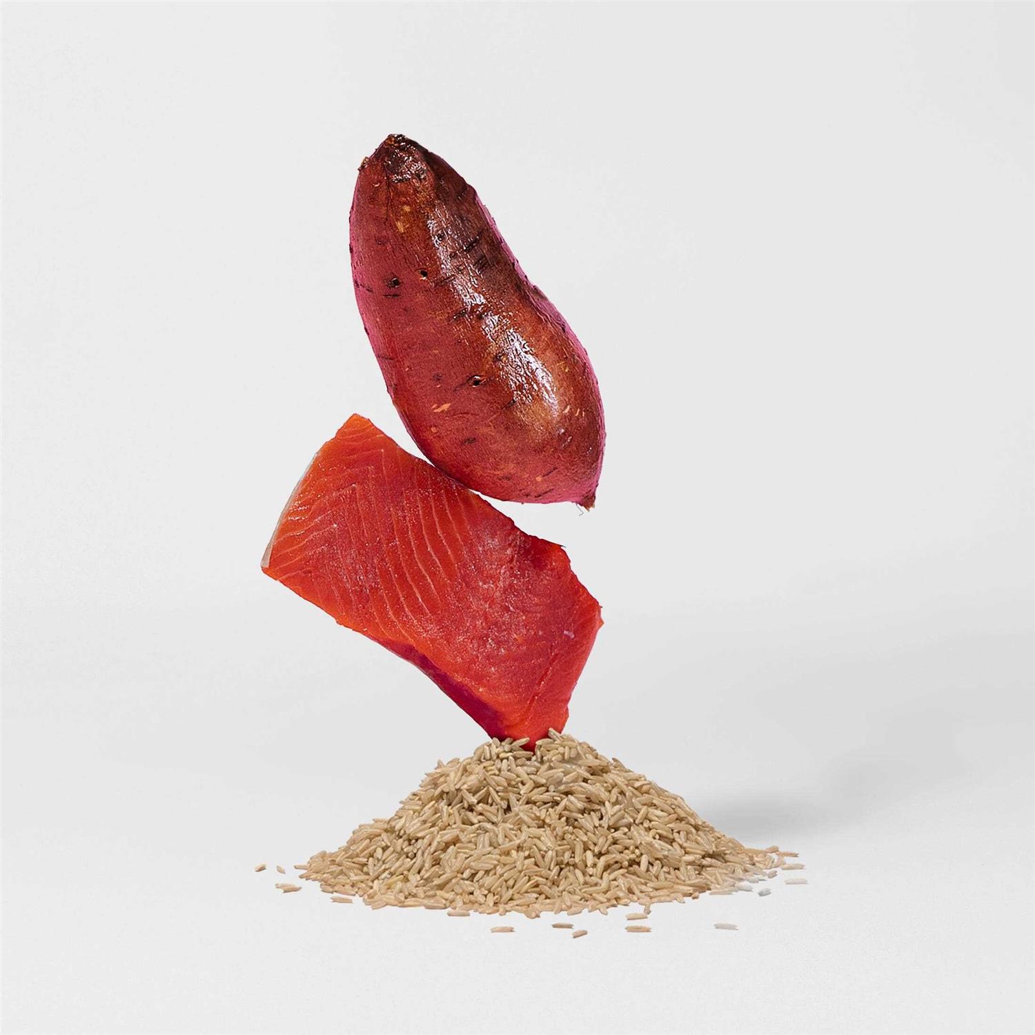 Jinx Salmon Brown Rice & Sweet Potato Dry Dog Food