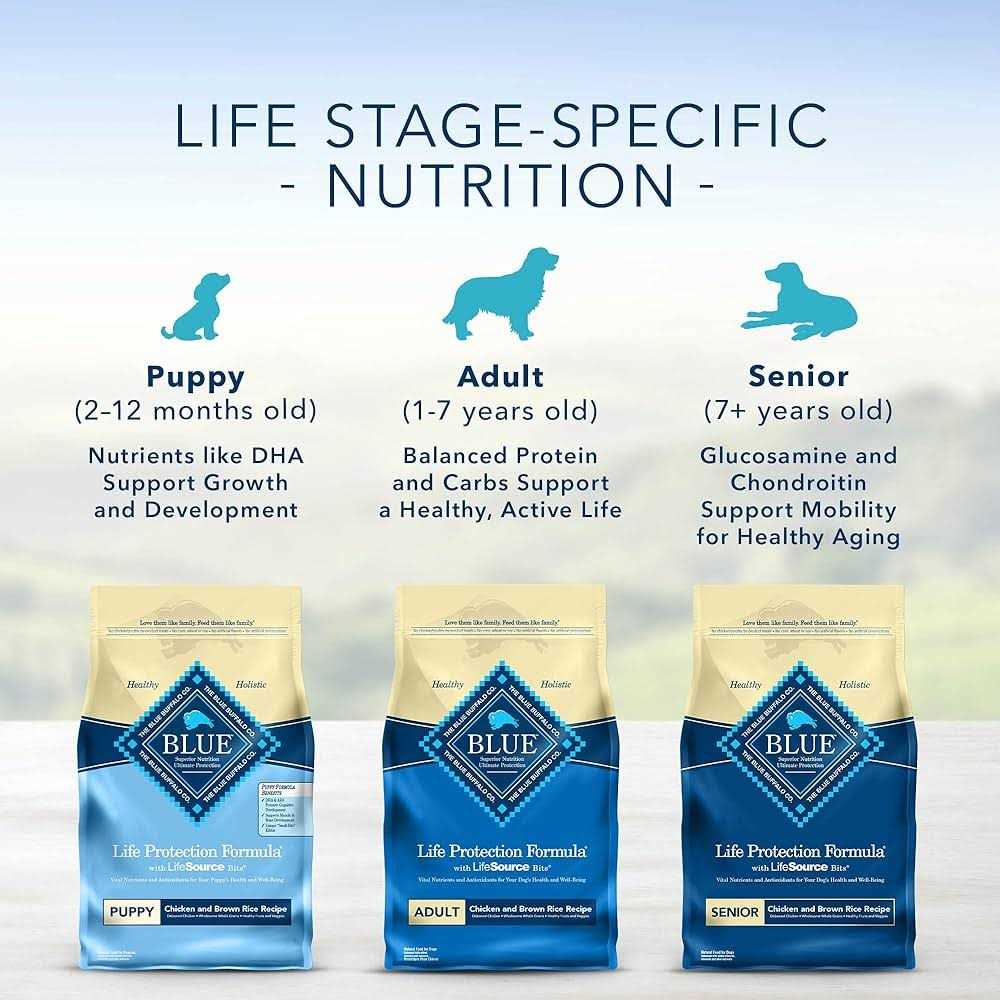 Blue Buffalo Life Protection Formula Beef & Brown Rice Adult Dry Dog Food