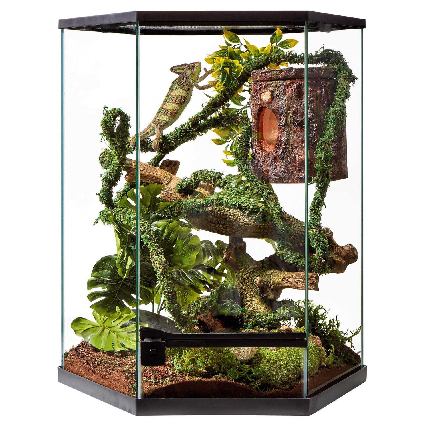 Thrive Tropical Reptile Vertical Hexagon Terrarium -20 Gallon