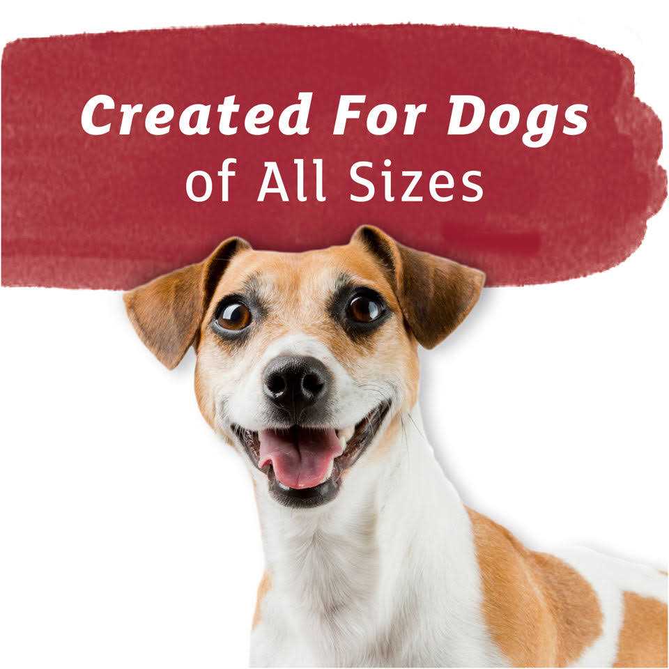 Purina Beneful Baked Delights Hugs Dog Treats