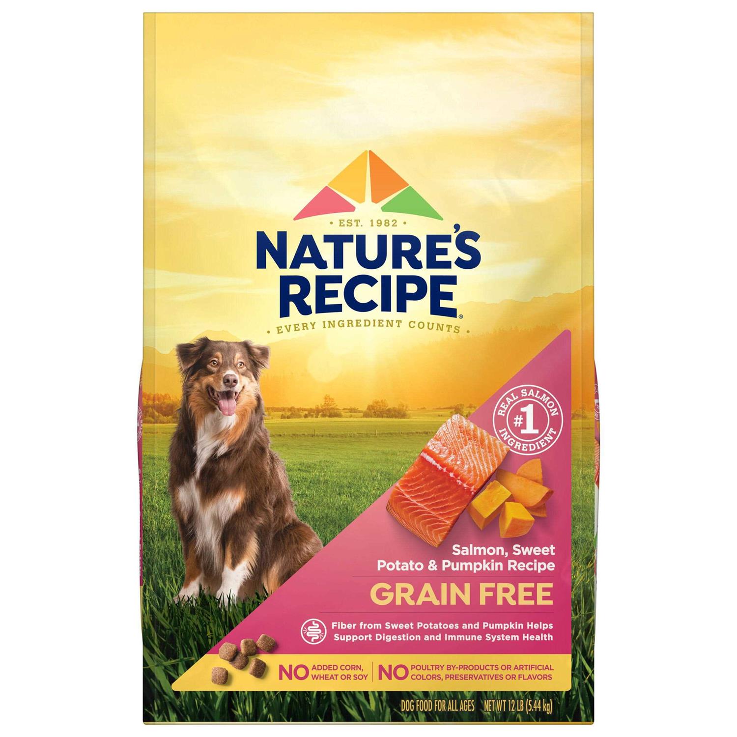 Nature’s Recipe Grain Free Salmon Sweet Potato & Pumpkin Recipe Dry Dog Food