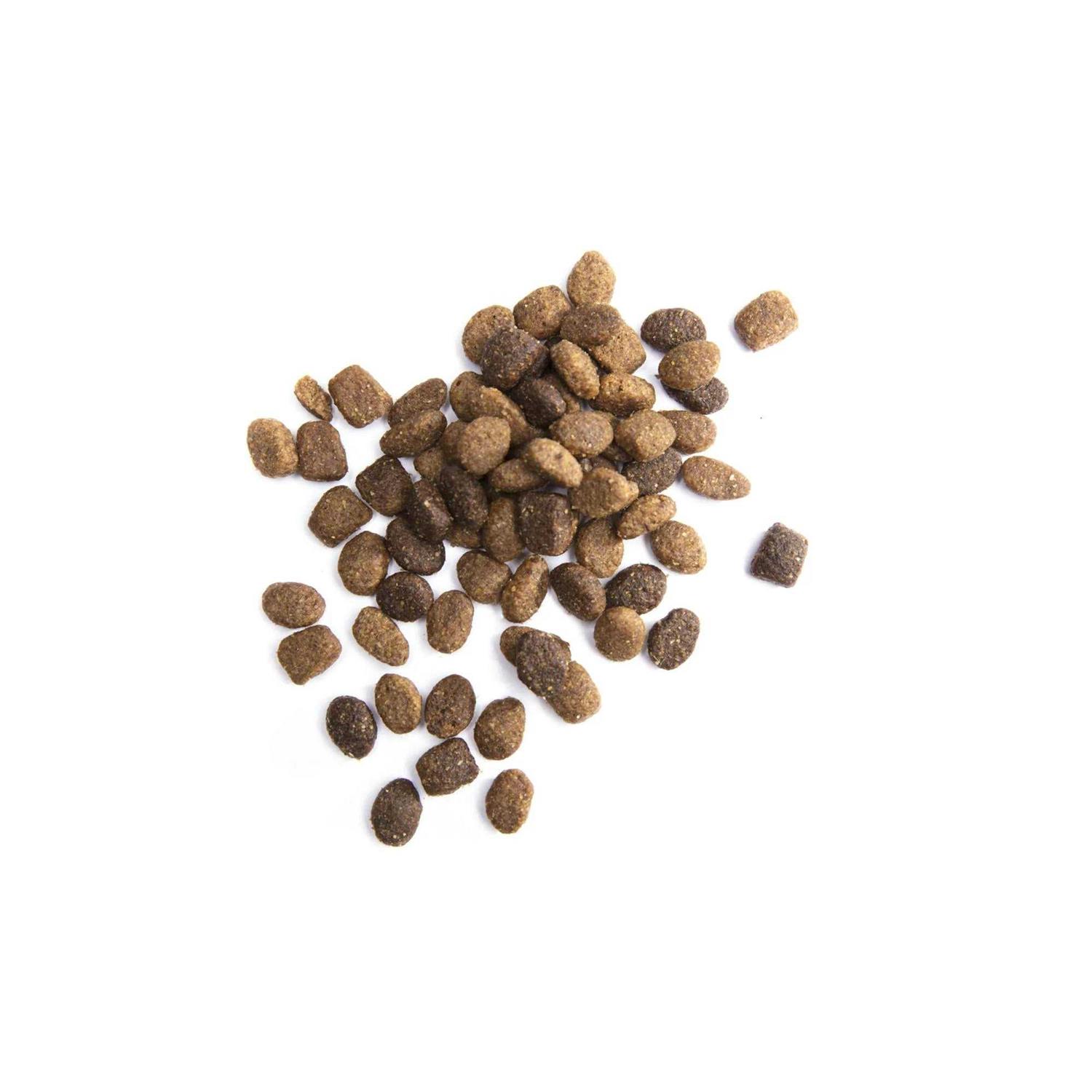 Iams Proactive Health Small & Toy Breed Smart Puppy Dry Dog Food Chicken