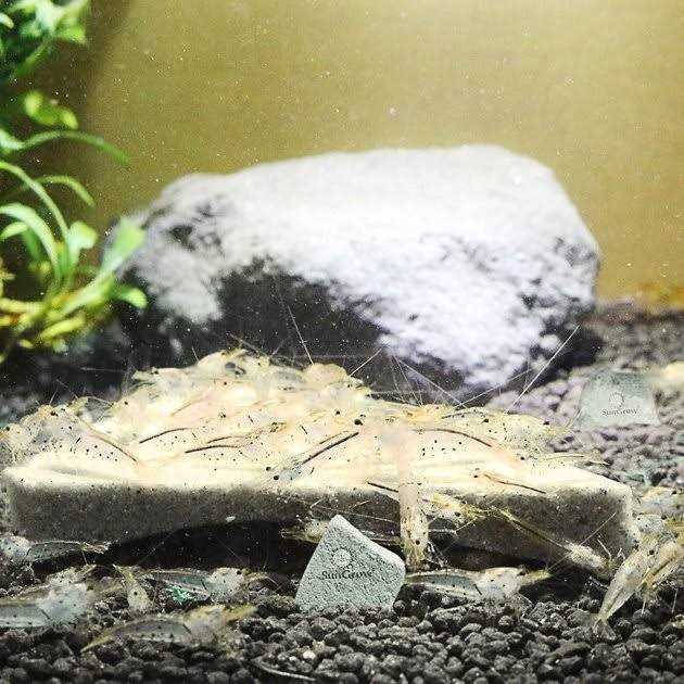 Sungrow Shrimp Mineral Rocks for Molting