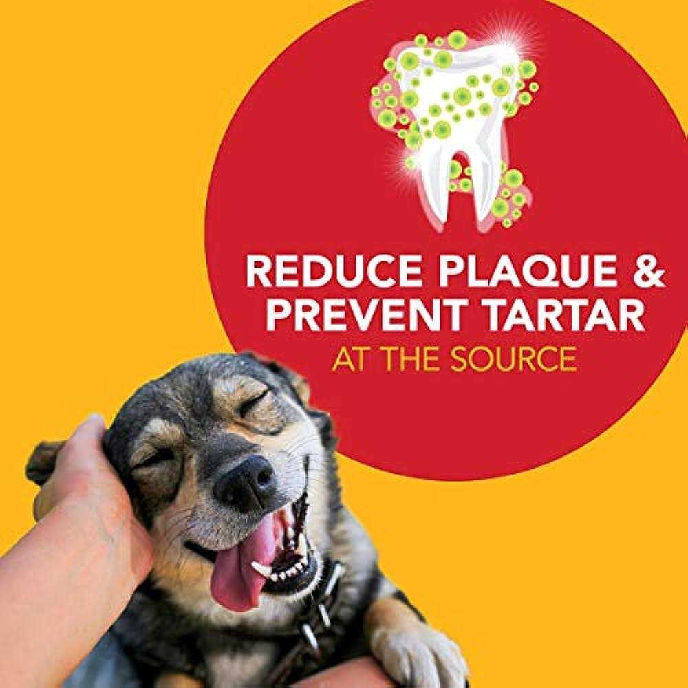 Petrodex Natural Toothpaste for Dogs