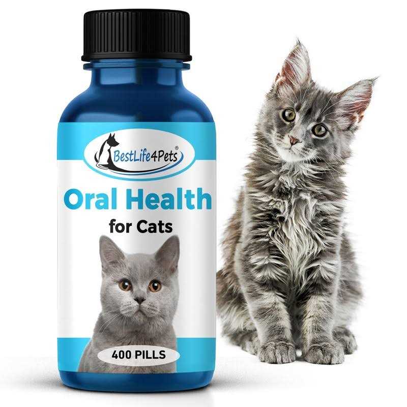 BestLife4Pets Oral Health for Cats Cat Dental Care Supplement Anti inflammatory Pain Relief for Stomatitis Gingivitis and Gum Disease Cat Supplies