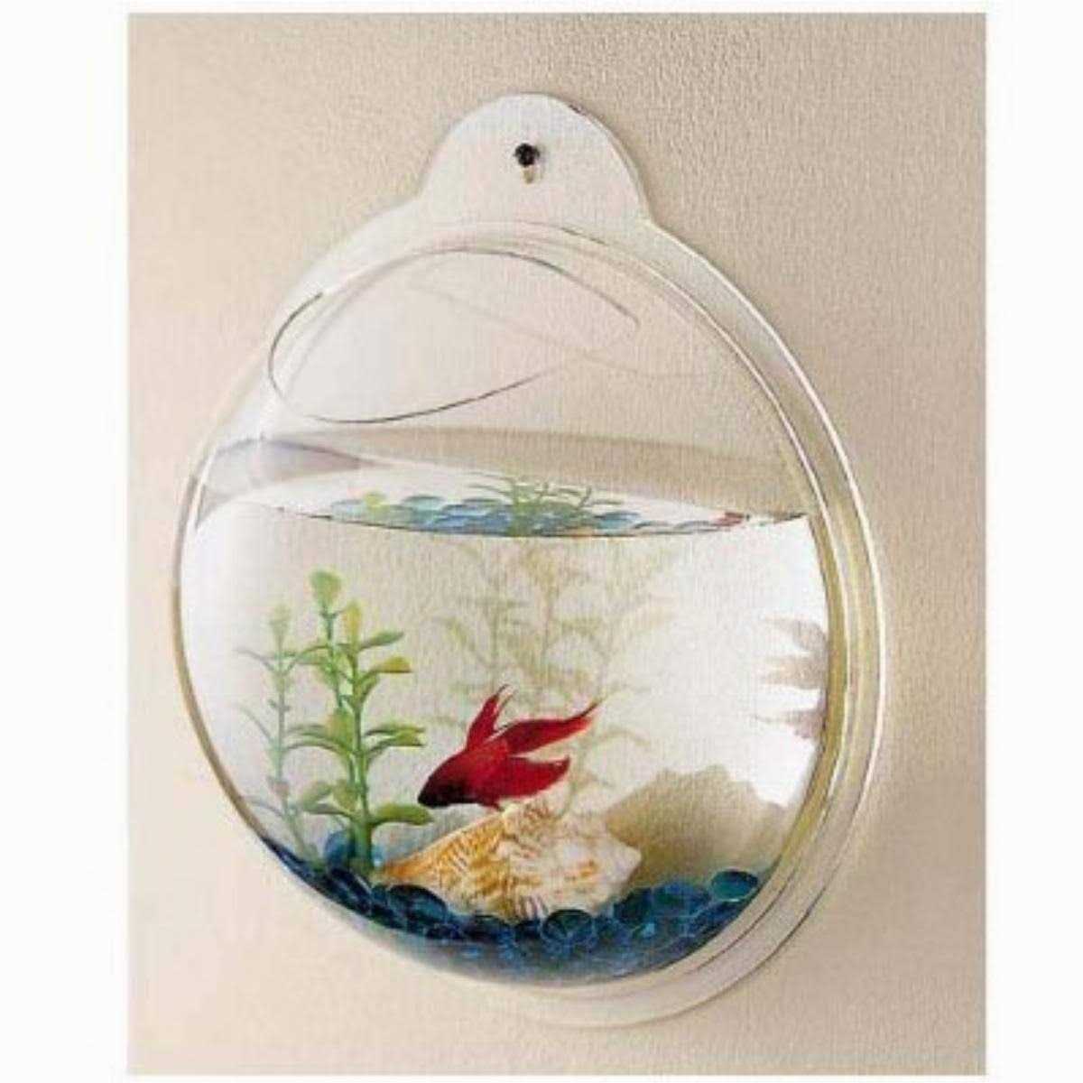 CNZ Wall Mounted Acrylic Fish Bowl