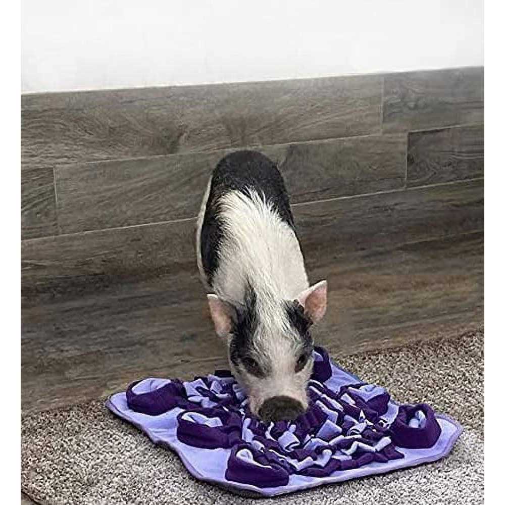 Piggy Poo and Crew Snuffle Mat