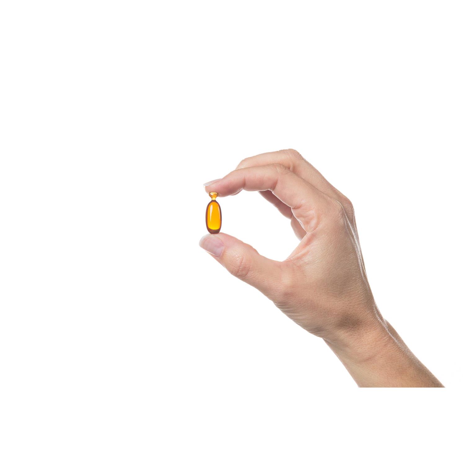 Free Form Snip Tips for Small Dogs and Cats