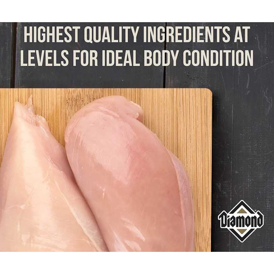 Diamond Maintenance Dry Cat Food