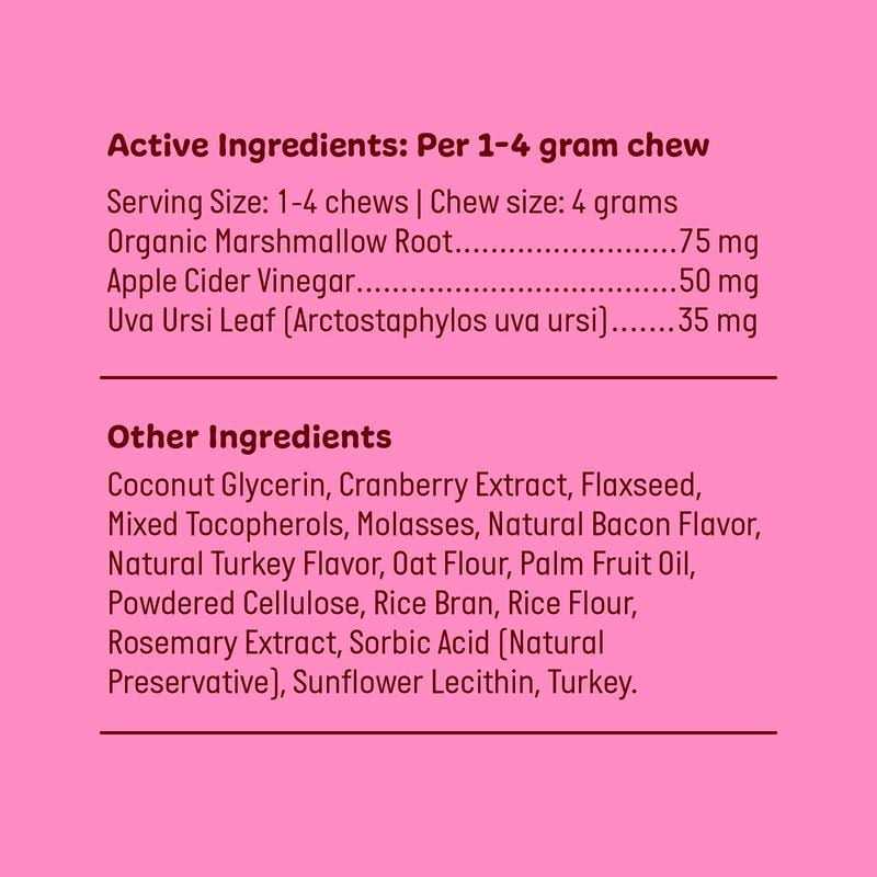 Active Chews Cranberry Supplement for Dogs Dog UTI Bladder Control for Dogs