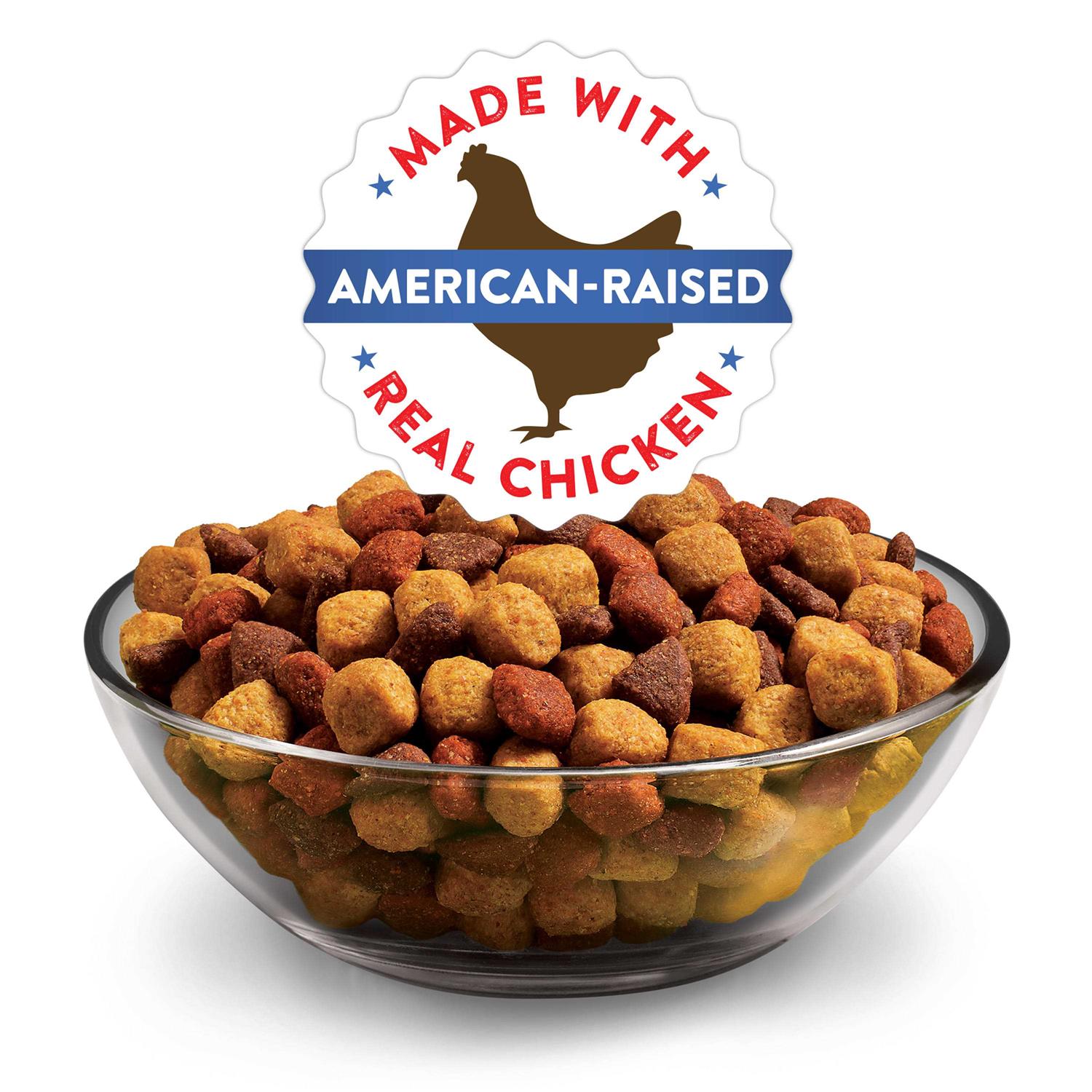 Purina Dog Chow Complete & Balanced Dry Dog Food