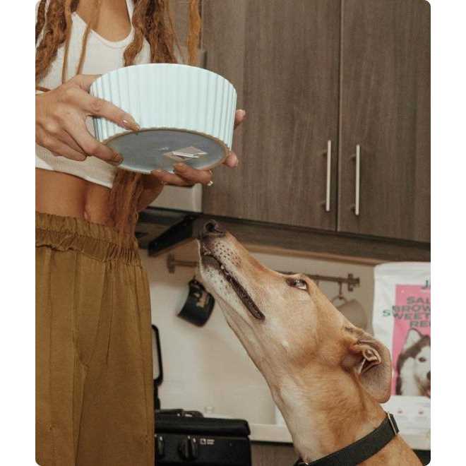 Jinx Freeze Dried Salmon Dry Dog Food Topper