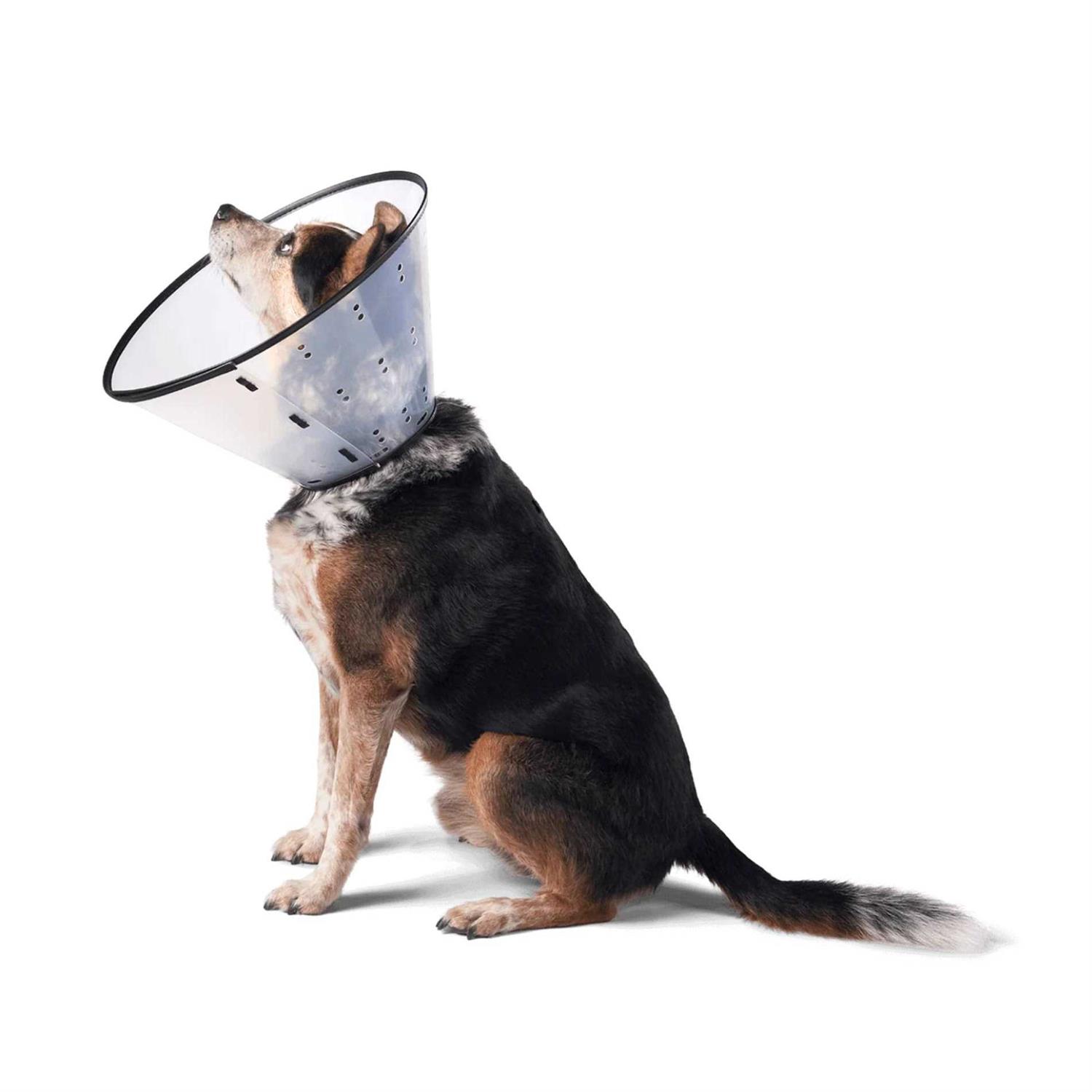 Remedy & Recovery Dogswell E-Collar