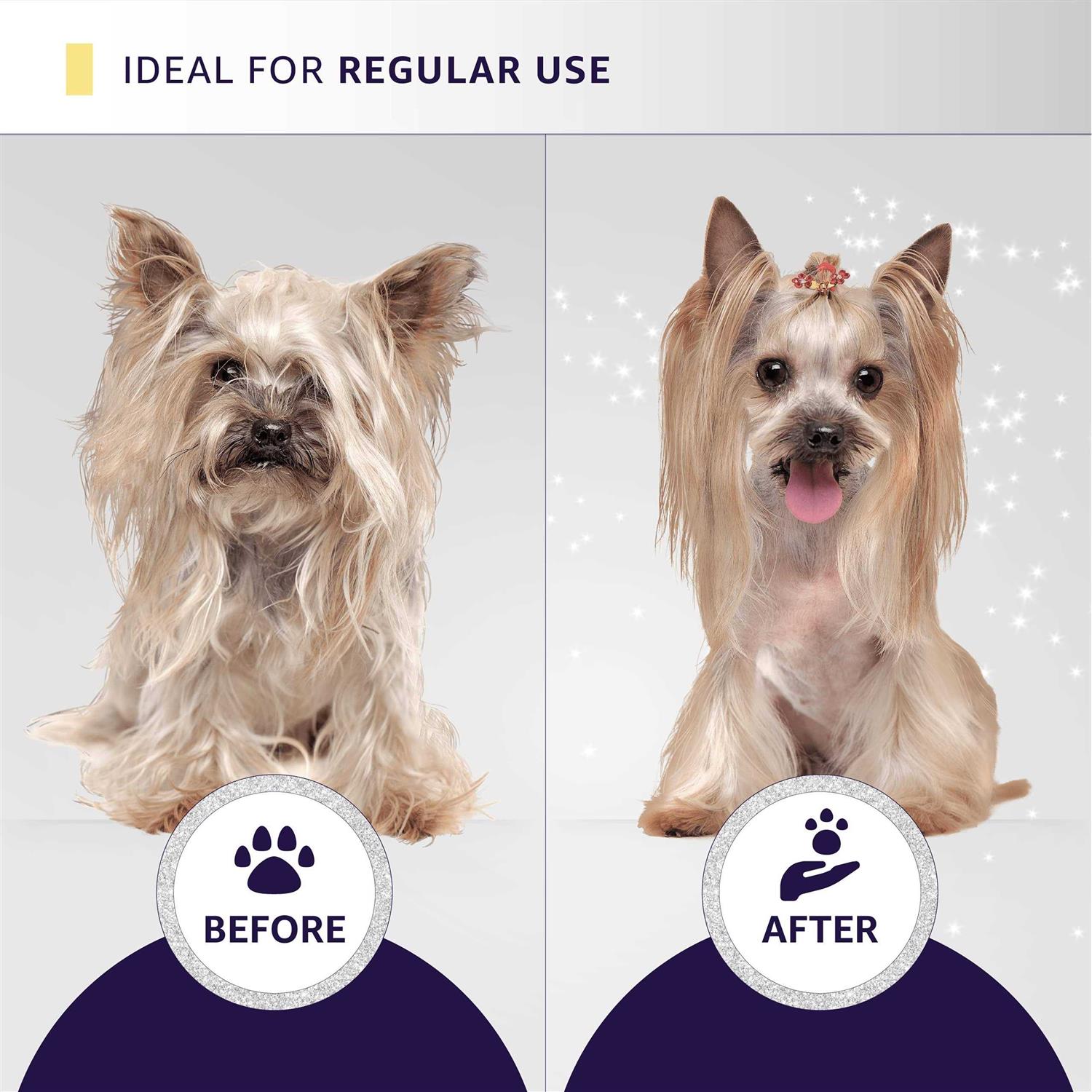 Hydra Professional Experience Set, cat and Dog grooming Shampoo, conditioner, and Sprays, Dog and cat grooming Supplies