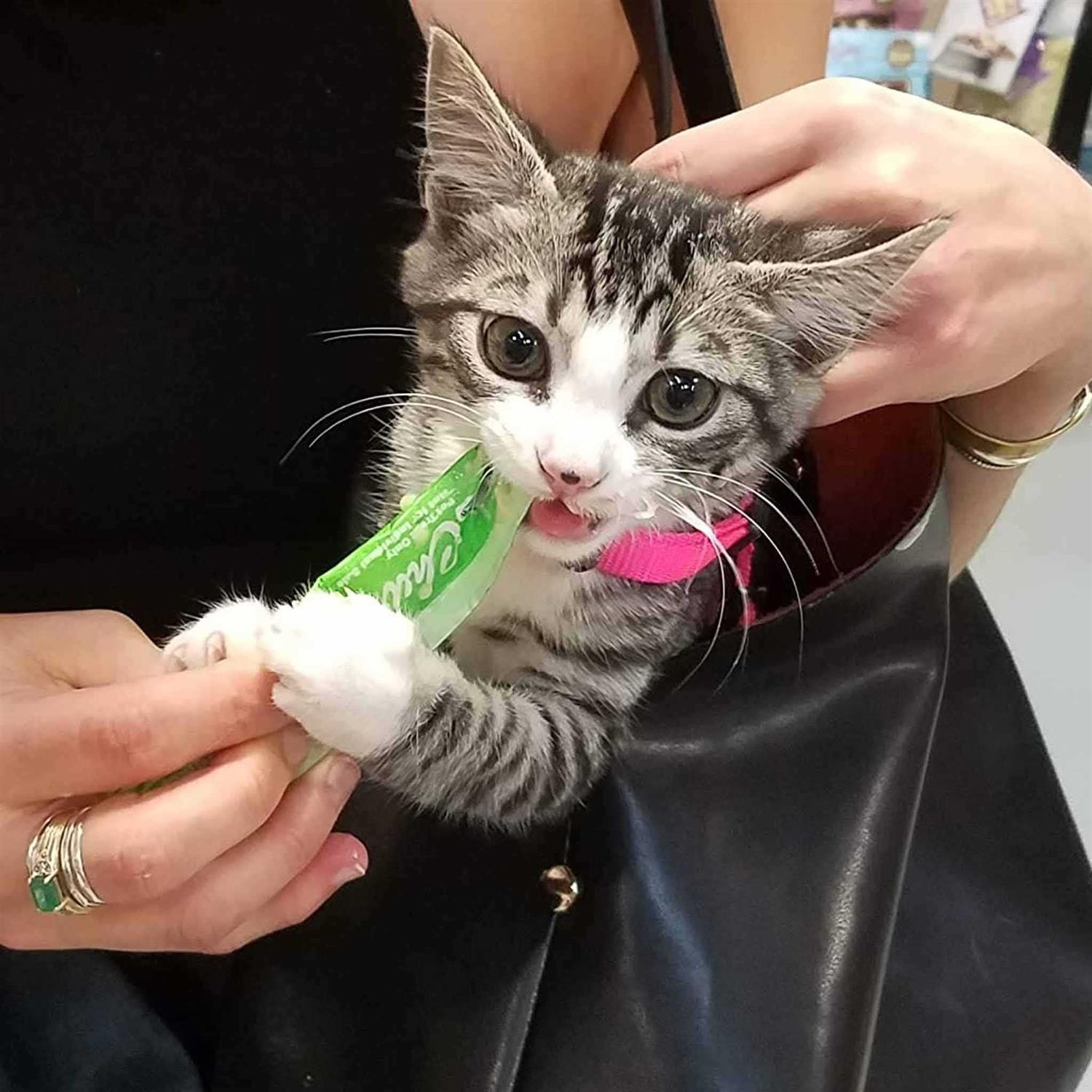 Inaba Churu Chicken Variety Box 60 Tubes