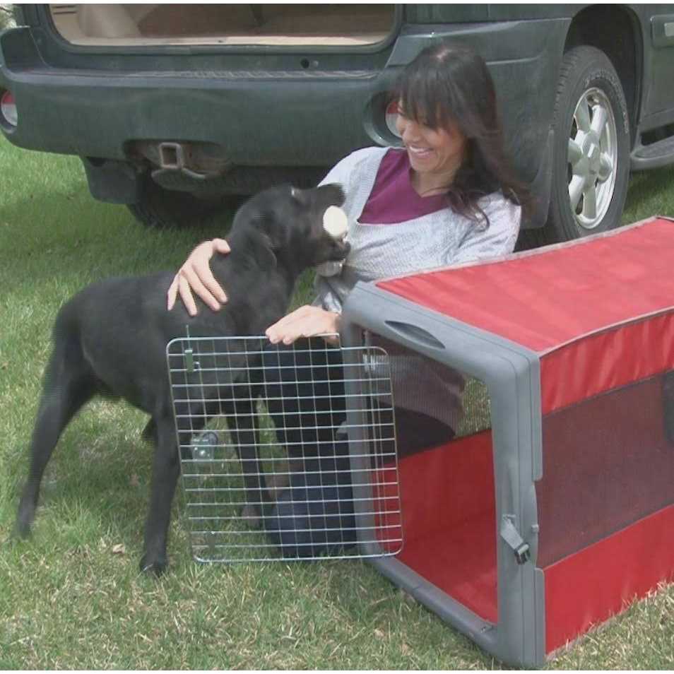 SportPet Designs Sportpet Pop up Travel Crate