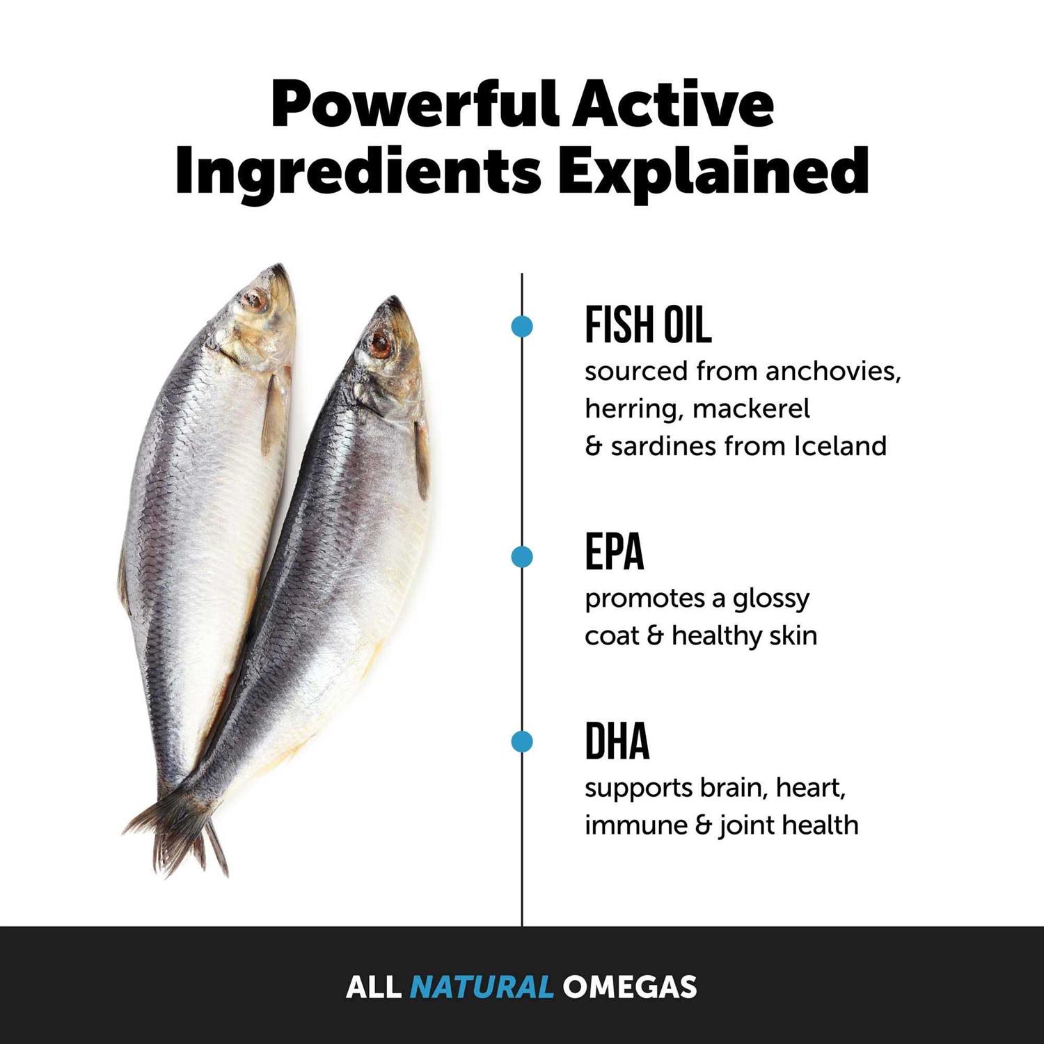 Pet Honesty Wild Caught Omega-3 Fish Oil Supplement for Dogs and Cats