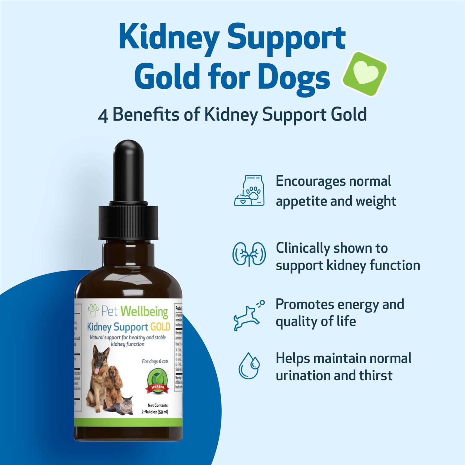 Pet Wellbeing Kidney Support Gold for Dogs