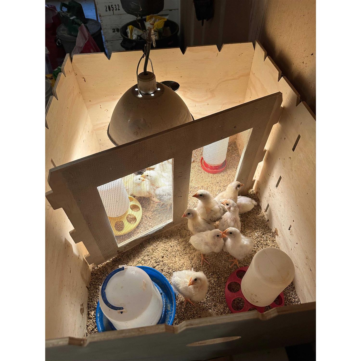 Harvest Lane Farms Chick Brooder Box