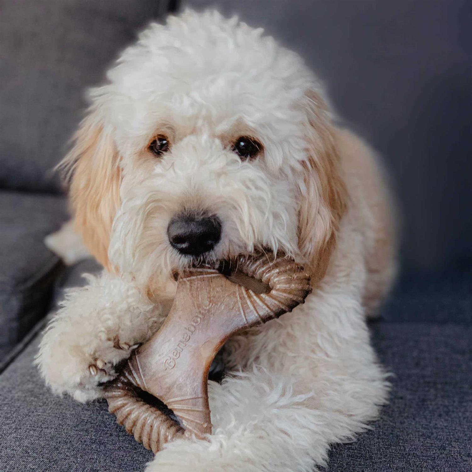 Benebone Dental Chew/Wishbone Bacon Dog Toy