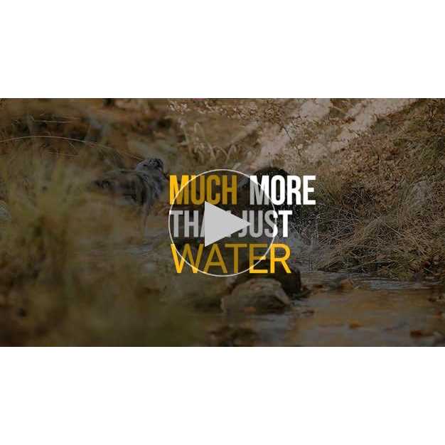 Tonisity, Inc YummyRade Pouches 3 x 250 ml