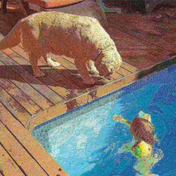 Pet Adobe Waterproof Indoor/Outdoor Memory Foam Pet Bed