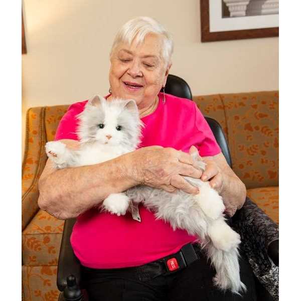 Joy For All Companion Pet Cat