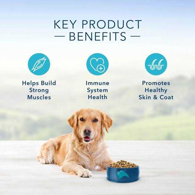 Blue Buffalo Life Protection Formula Healthy Weight Small Breed Adult Chicken & Brown Rice Recipe Dry Dog Food