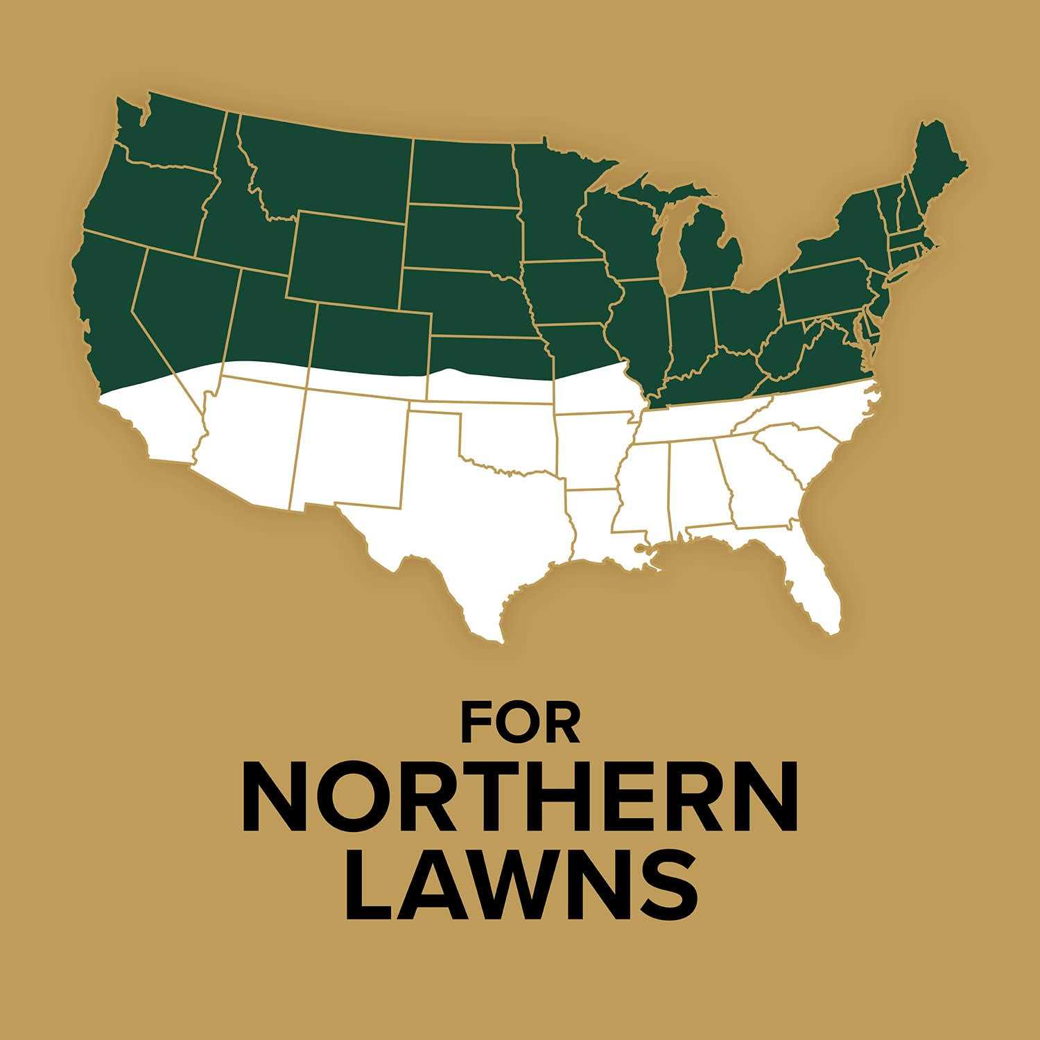 Scotts EZ Seed 17446 Dog Spot Repair