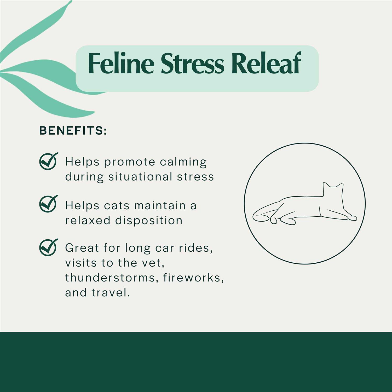 Pet Releaf Feline Stress Releaf Organic Oil for Cats