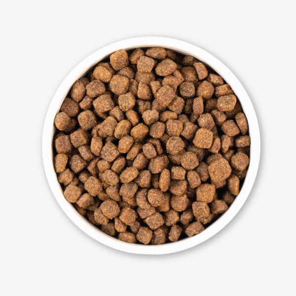 Earthborn Holistic Grain Free Dry Dog Food Meadow Feast