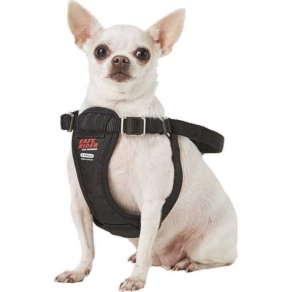 Coastal Pet Easy Rider Car Harness
