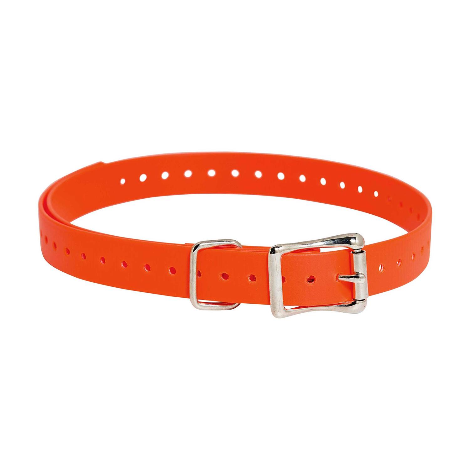 SportDOG Collar Strap