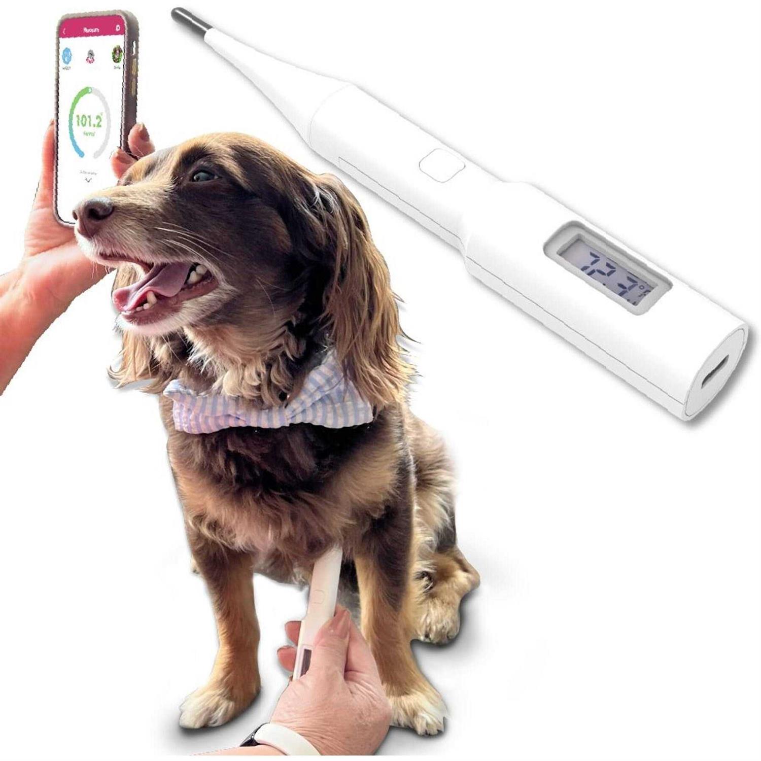 Non-invasive Underarm Pet Thermometer by Mella Pet Care