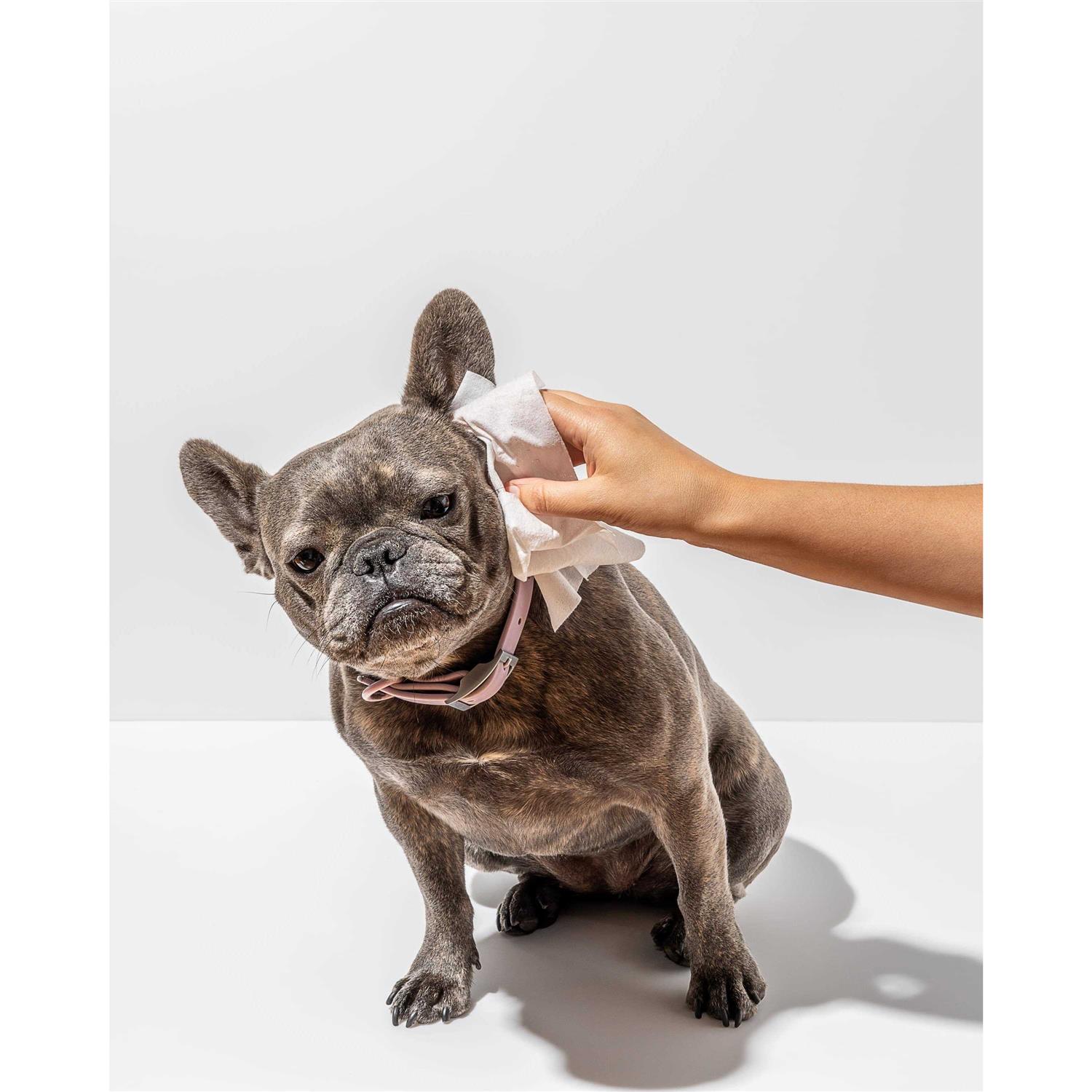 Wild One Grooming Wipes