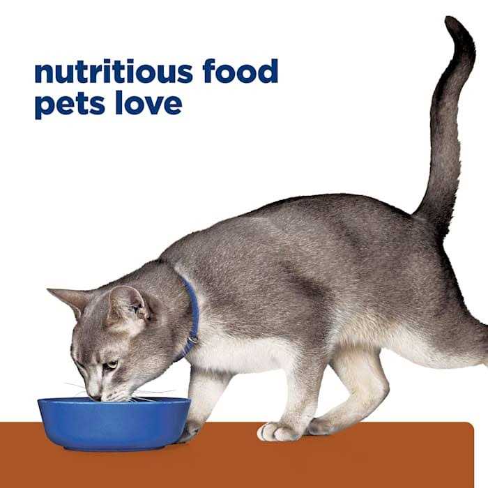 Prescription Diet k/d Kidney Care Cat Dry Food