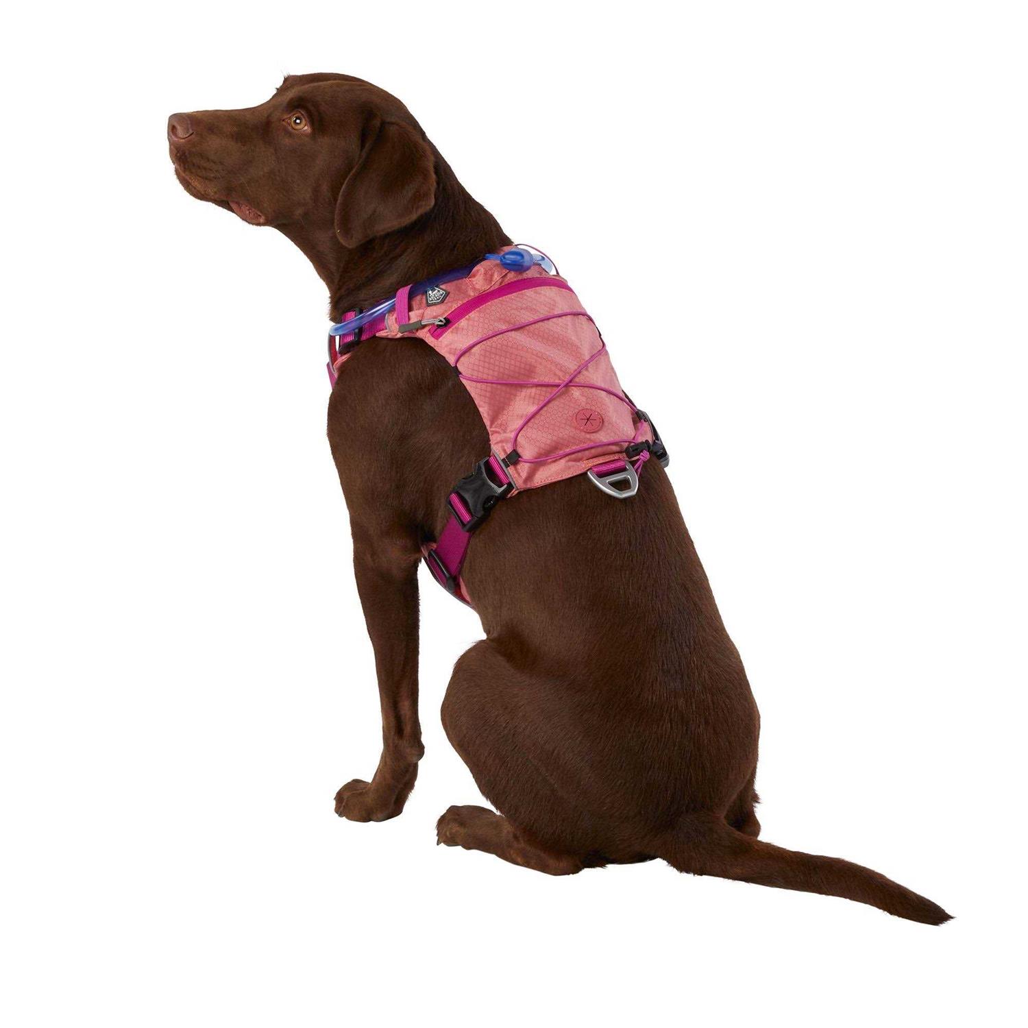 Arcadia Trail Waterbladder Dog Harness
