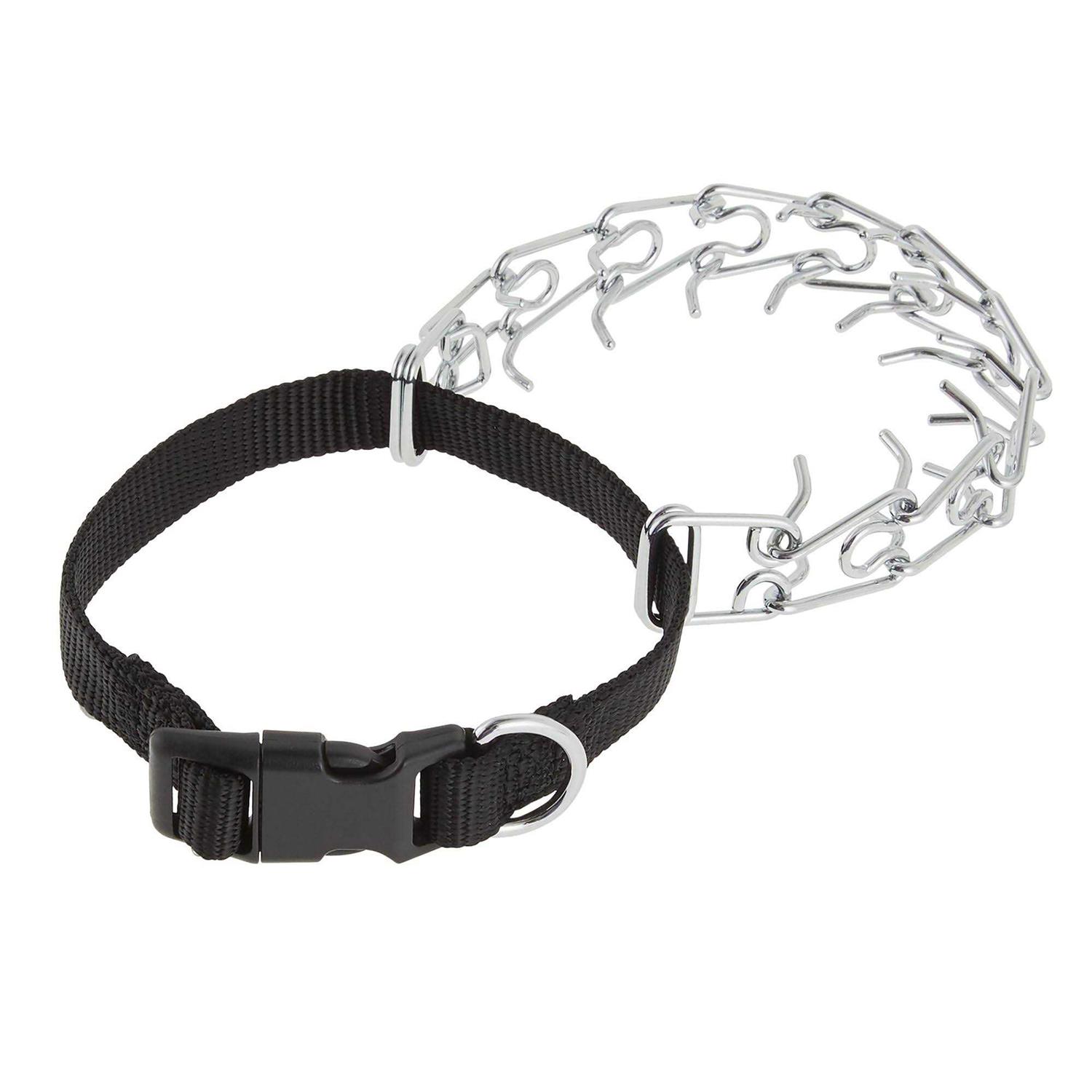 Top Paw Buckle Prong Training Dog Collar