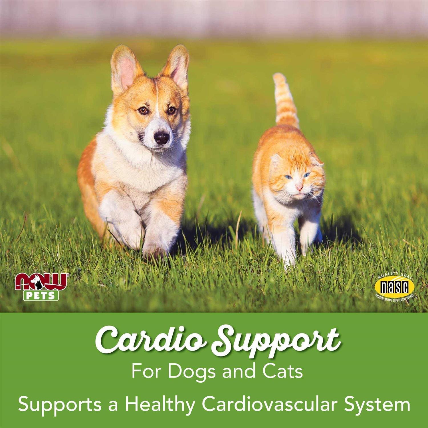 Now Cardiovascular Support for Dogs & Cats
