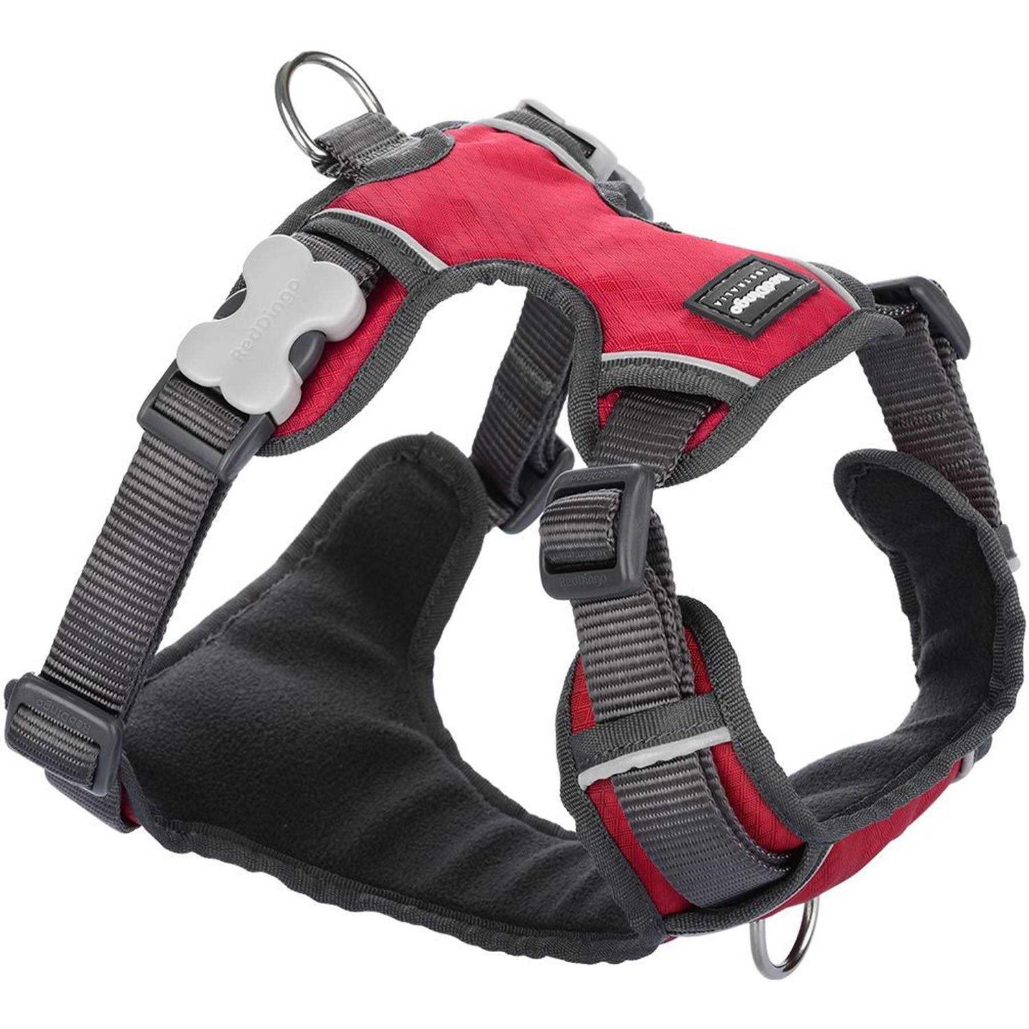 Dog Harness Red Dingo Padded