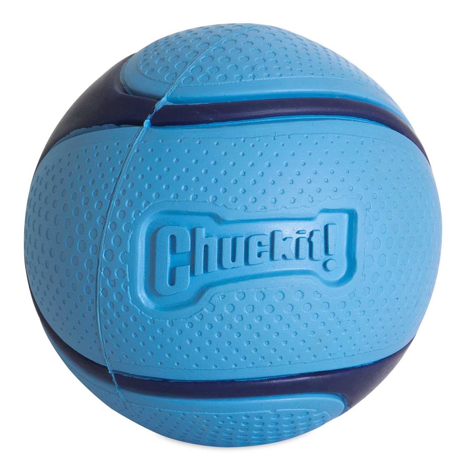 Chuckit! Sniff Fetch Ball Dog Toy
