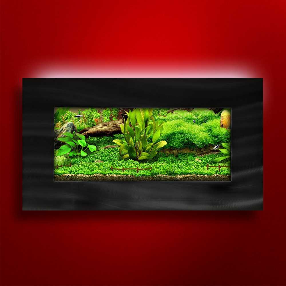 Aussie Aquariums 2.0 Wall Mounted Aquarium – View Brushed Black, Size: Up to 10 Gallons