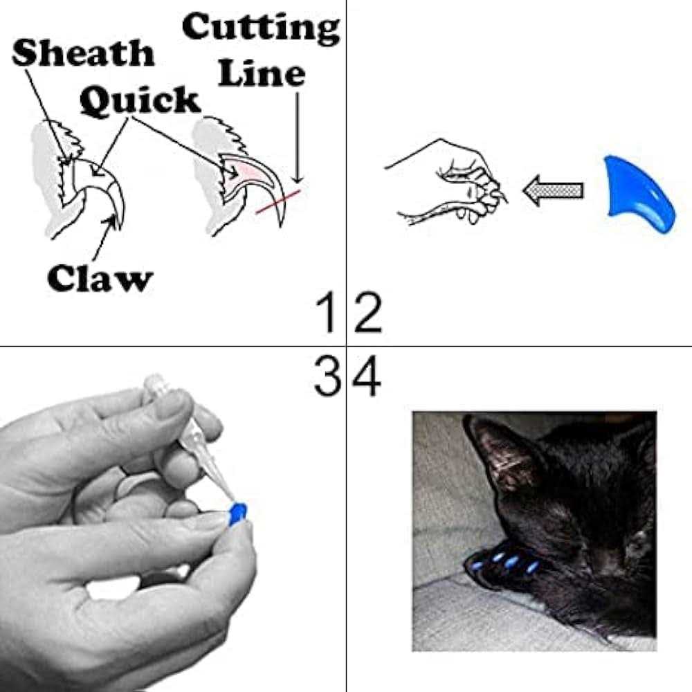 Soft Nail Caps for Cats Pretty Claws